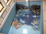 Художественная роспись дна бассейнов